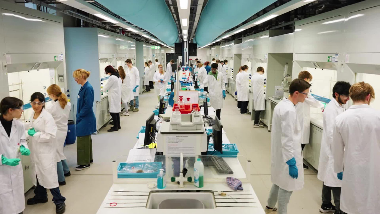Факультет хімії в University of York | EDUTERRA